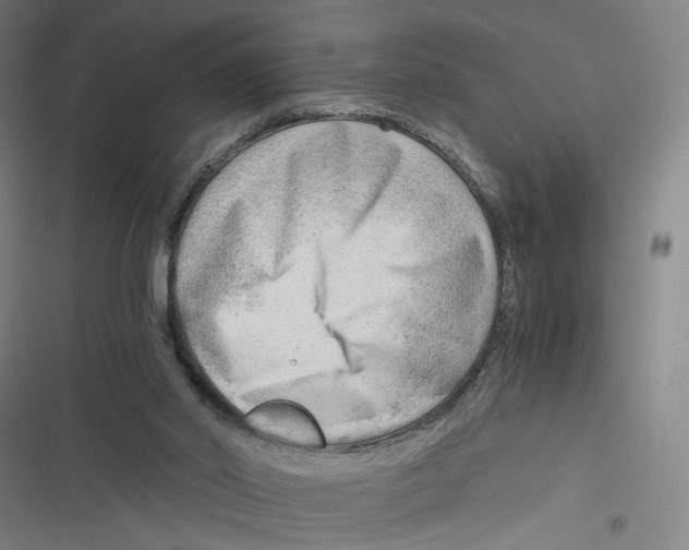 X0000116640014201001111218