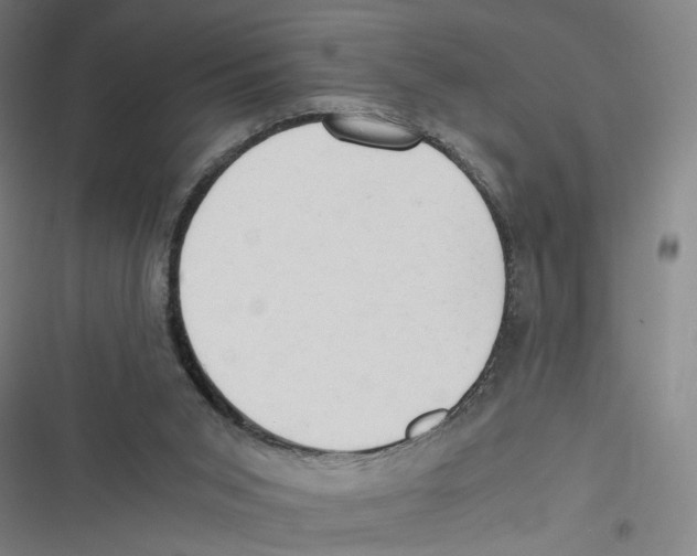 X0000116640015201001111217