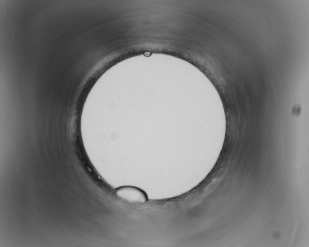 X0000116640016201001111217