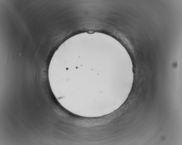 X0000116640017201001111217