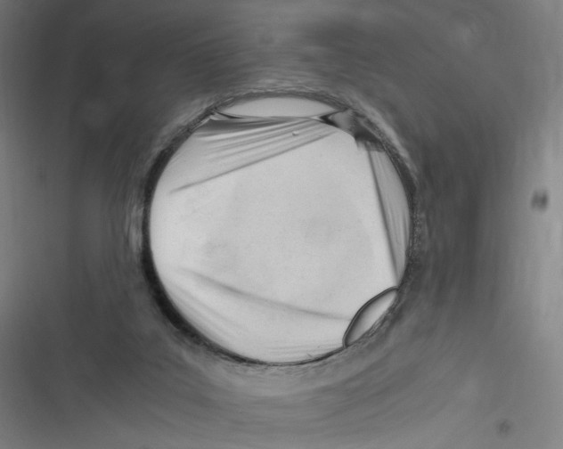 X0000116640019201001111217