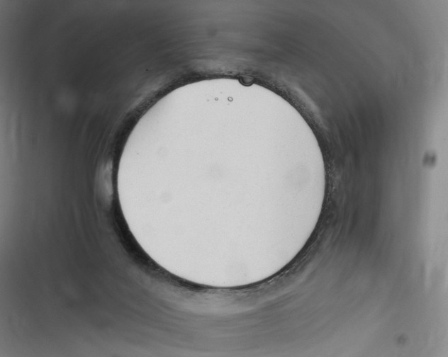 X0000116640020201001111217