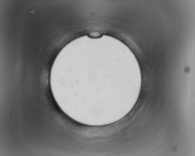 X0000116640021201001111217