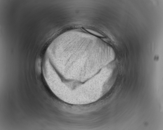 X0000116640022201001111217