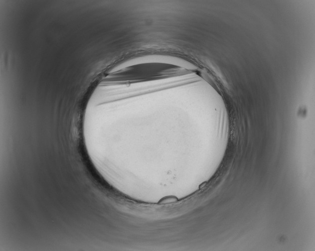 X0000116640023201001111217