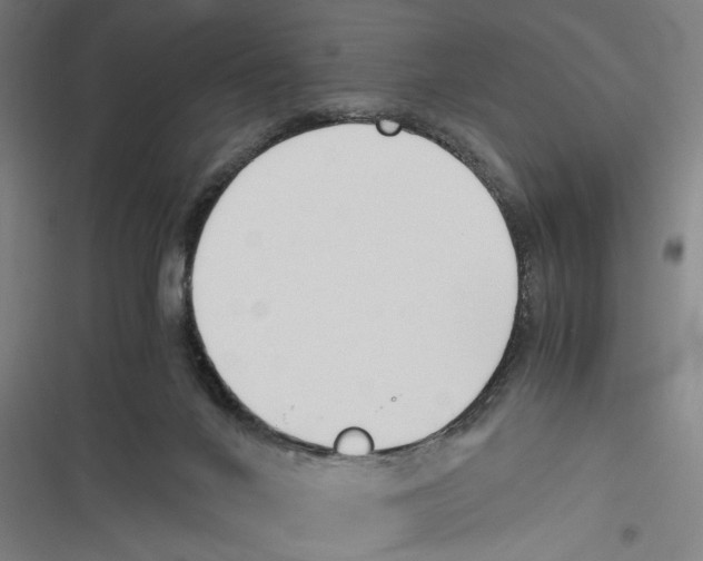 X0000116640024201001111217