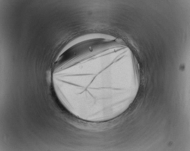 X0000116640027201001111217