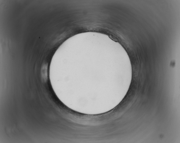 X0000116640028201001111217