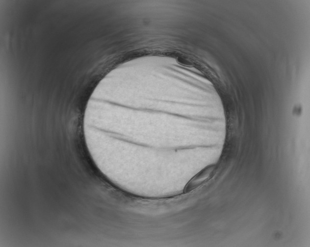 X0000116640029201001111217