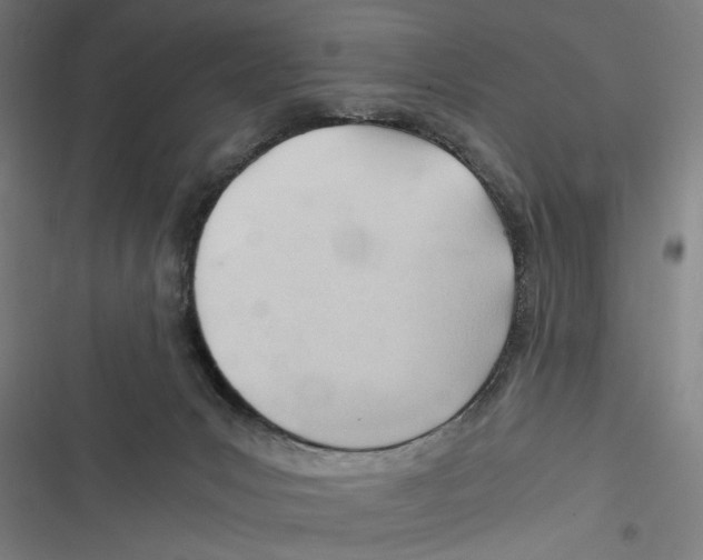 X0000116640031201001111217