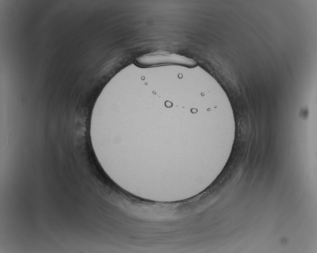 X0000116640032201001111217