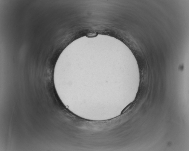 X0000116640033201001111217