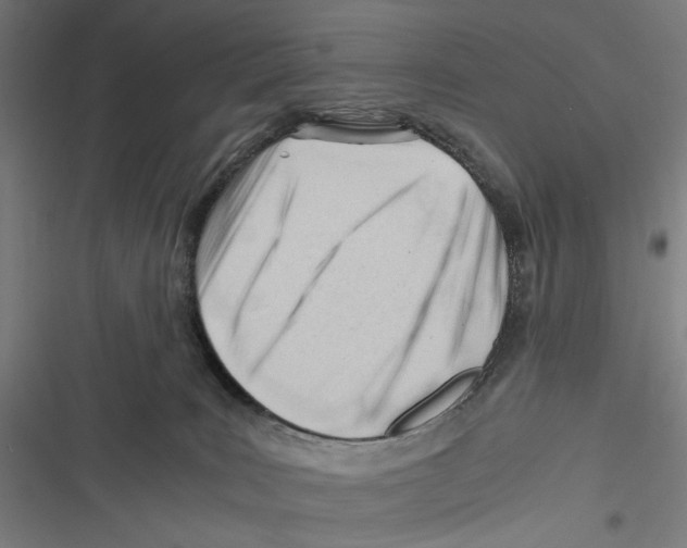 X0000116640035201001111217