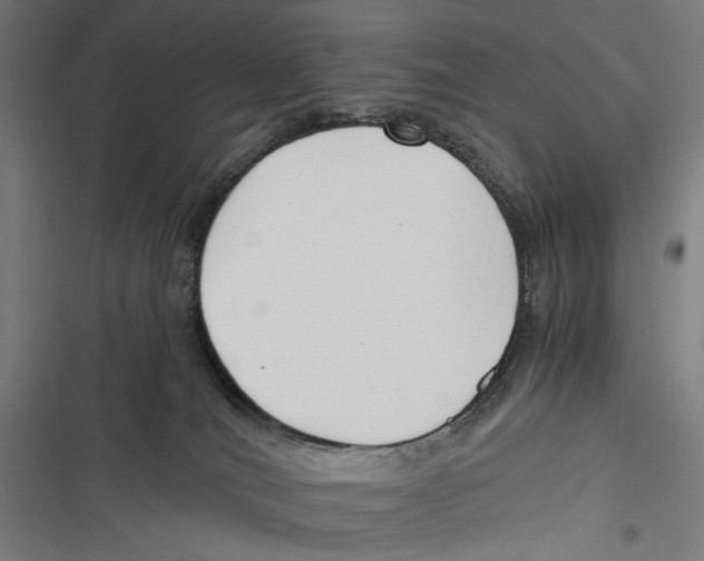 X0000116640036201001111217