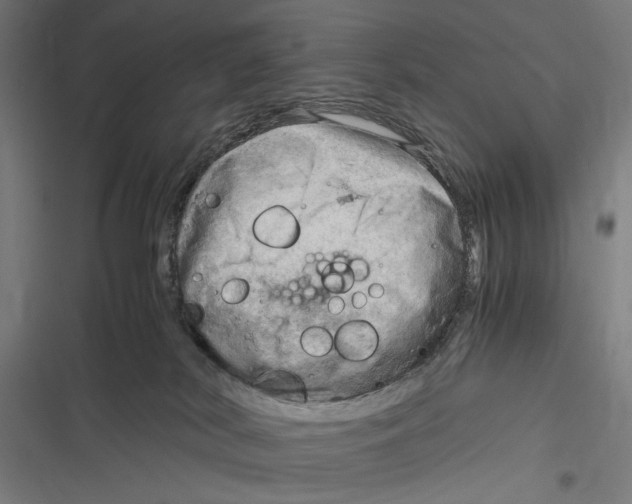 X0000116640038201001111217