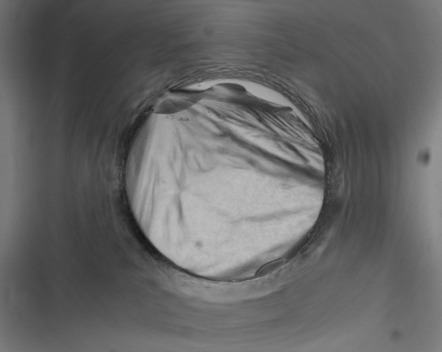 X0000116640039201001111217