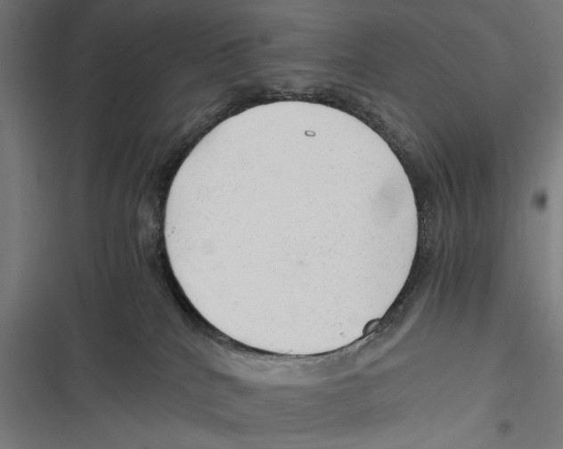 X0000116640040201001111217