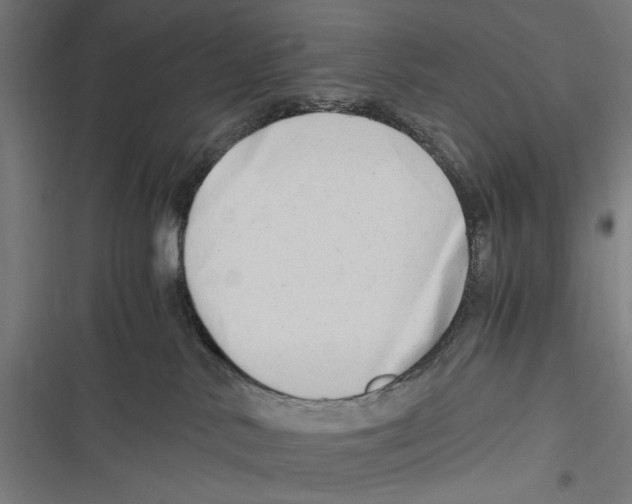 X0000116640042201001111217