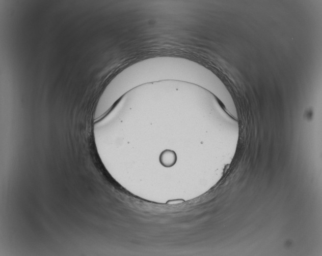 X0000116640043201001111217