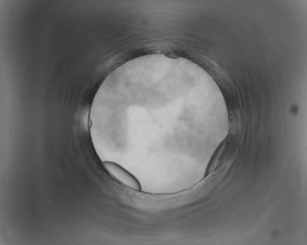 X0000116640047201001111217