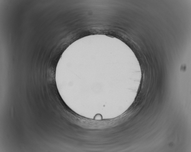 X0000116640048201001111217