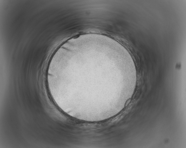 X0000116640049201001111216