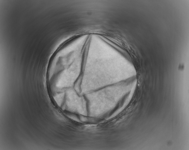 X0000116640052201001111216