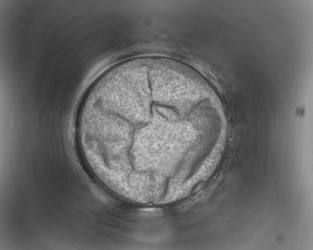 X0000116640053201001111216