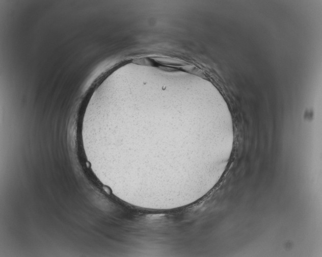 X0000116640054201001111216