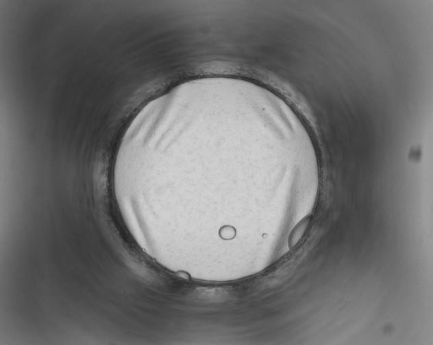 X0000116640057201001111216