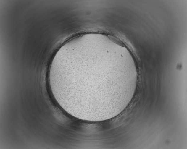 X0000116640058201001111217