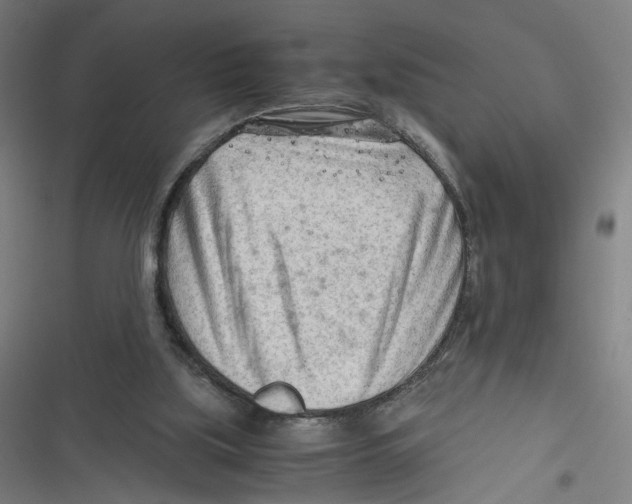 X0000116640059201001111217