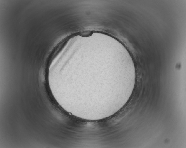 X0000116640060201001111217