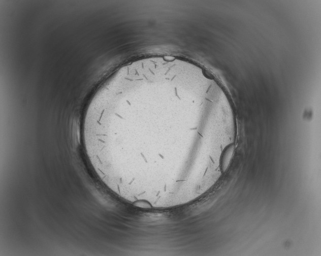 X0000116640061201001111217