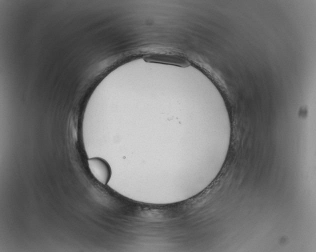 X0000116640062201001111217