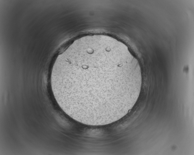 X0000116640063201001111217