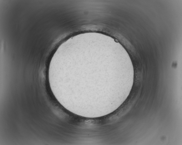 X0000116640064201001111217