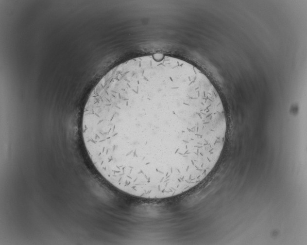 X0000116640065201001111217