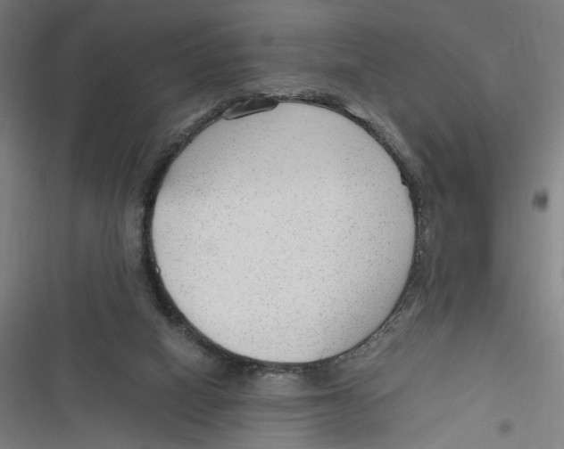 X0000116640066201001111217