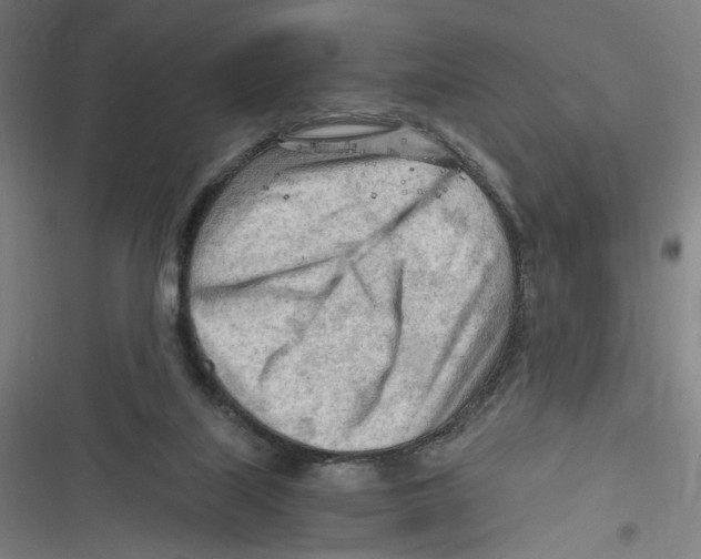 X0000116640067201001111217