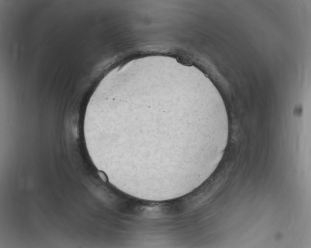 X0000116640068201001111217