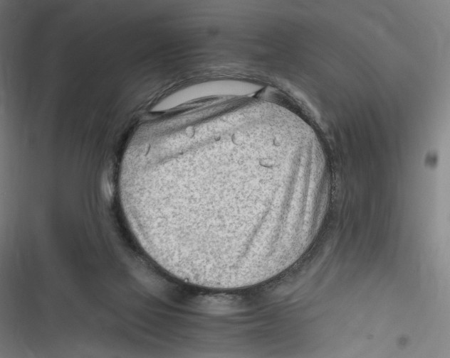 X0000116640069201001111217