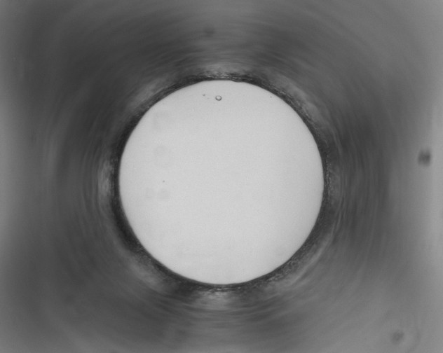 X0000116640071201001111217