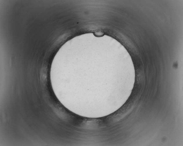 X0000116640072201001111217