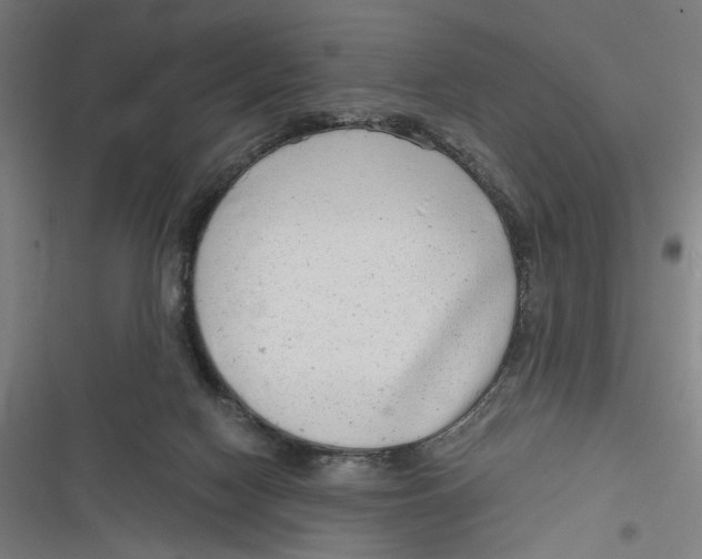 X0000116640074201001111217