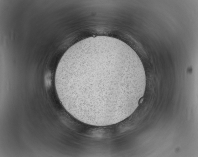 X0000116640075201001111217