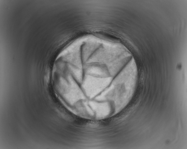 X0000116640076201001111217