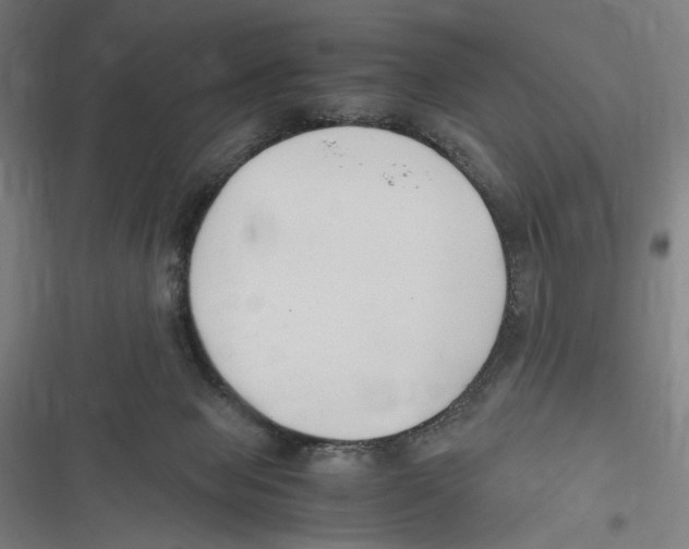 X0000116640077201001111217