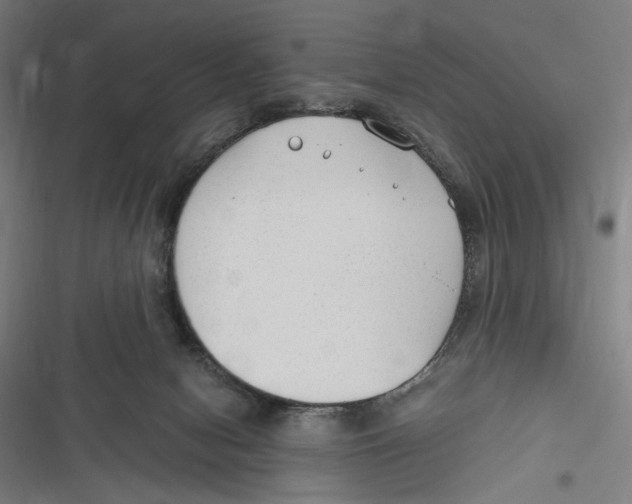 X0000116640078201001111217