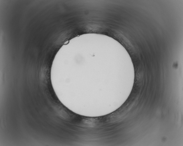 X0000116640079201001111217